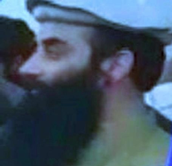 Habibullah