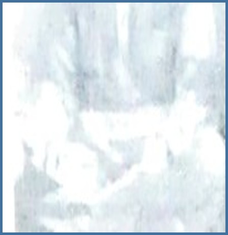 Manzoor Ahmed Dar